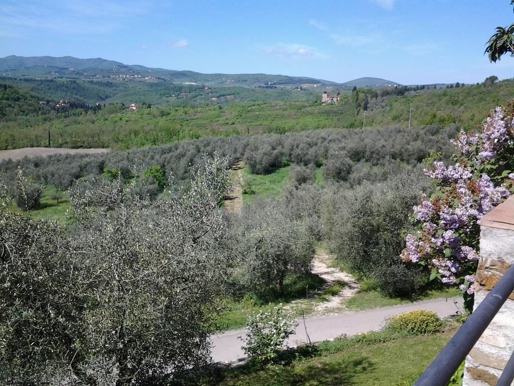 Agriturismo Fattoio Alle Ripe - Frantoio SantʼEllero Exterior foto