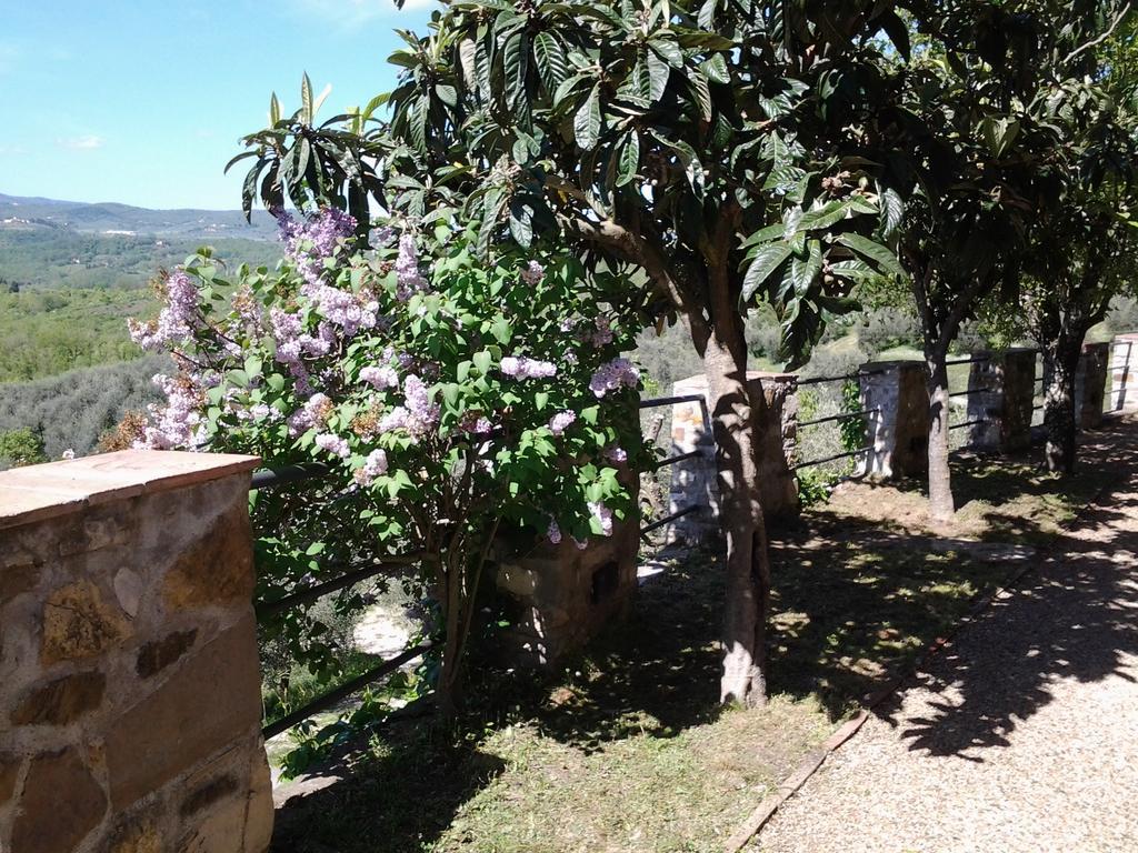 Agriturismo Fattoio Alle Ripe - Frantoio SantʼEllero Exterior foto